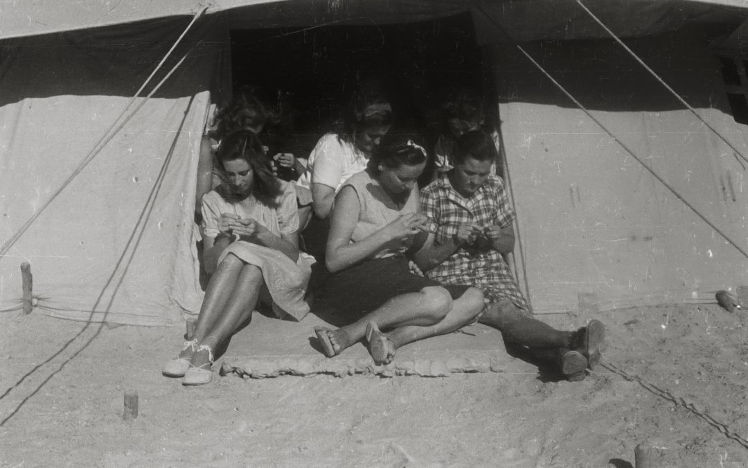 „El Shatt – Nacrt za utopiju“ 20. veljače u Pogonu Jednistvo – fotografije